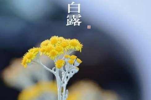 白露节气天气特点 2017年白露节气天气还热不热？