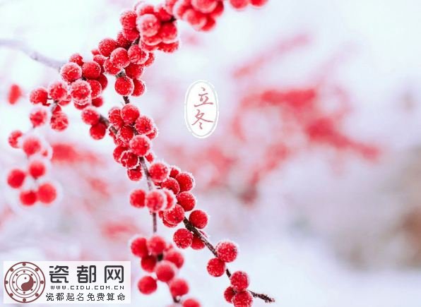 2017年什么时候立冬