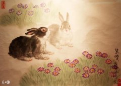 属兔的今年多大，属兔性格婚姻命运全解，生肖兔的来历、传说