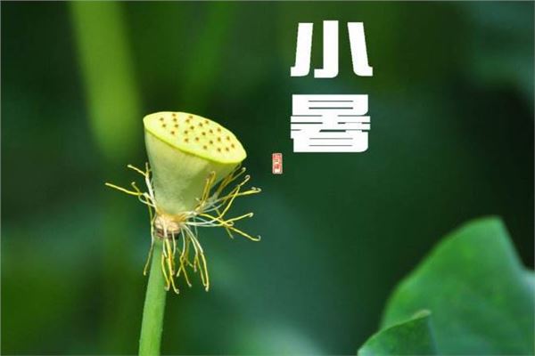 2.小暑是什么意思:季夏时节的正式开始