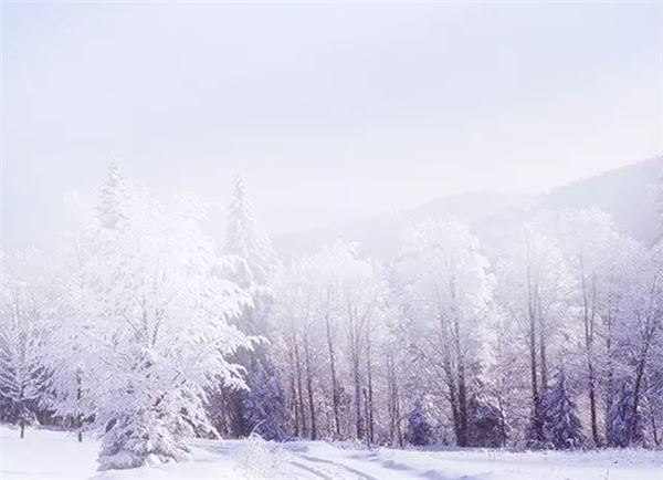 盘点小雪节气的六大民风民俗活动