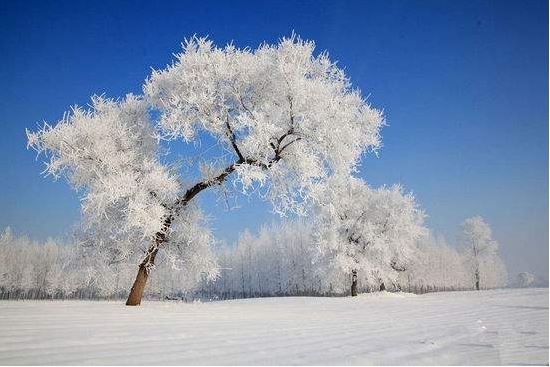 2019年小雪和大雪的农历日期