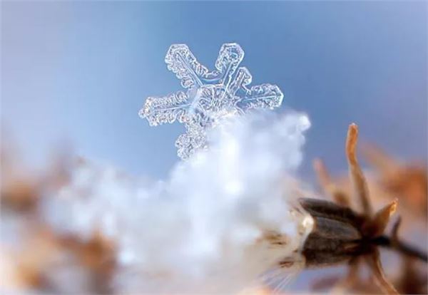 &quot;大雪&quot;至,关于“雪”你不得不知道这些知识