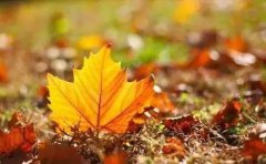 立秋,是秋天的第一个节气,标志着孟秋时节的正式开始